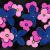 Flowers in Space von
