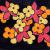 Flowers in Space von