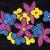 Flowers in Space von