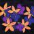 Flowers in Space von