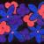 Flowers in Space von