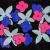 Flowers in Space von
