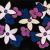 Flowers in Space von