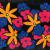 Flowers in Space von