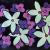 Flowers in Space von