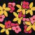 Flowers in Space von