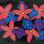 Flowers in Space von