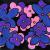 Flowers in Space von