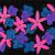 Flowers in Space von