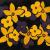Flowers in Space von