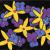 Flowers in Space von
