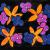 Flowers in Space von