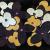 Flowers in Space von