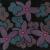 Flowers in Space von