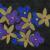 Flowers in Space von