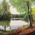 Waldsee von Mario Hannemann
