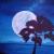 Big moon von
