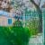 Magnolienstimmung von Neshka