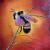 Bumblebee von Anna Jod