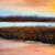 Am Bodden von