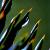 the paths of art - lasst uns schreiben von bernd hiep
