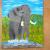 Elefant am Wasserloch von