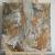 Bild 14 von Seductive Florescence
