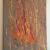 Bild 18 von Seductive Florescence