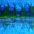 Plamen von