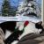 Winter blues von