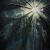 Still trapped in your ego cage? von