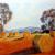 Landschaft 37 von