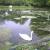 DSCF0207.JPG von