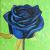 Die Blaue von Birthie