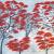 Red Trees von