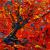 Autumn maple tree ACEO von S.Ril