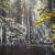 Peer Gynt Suite Nr.1op.46 von