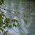 Stille Wasser von GH