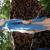 Blue Experience von