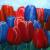 Tulpenveld von Geert Winkel