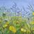 Studie Wiesenimpression von GH
