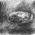 Fische 02 von Willi Wernz