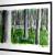 Wald von Tracksel