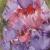 blumen von