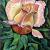 Eine Rose von Brigitte W