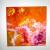 LiFe von nAdInE aRtLiKe