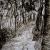 Forest track von