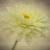 Be a star von AD DESIGN Photo + PhotoArt