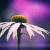 Emotion von AD DESIGN Photo + PhotoArt