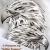 "Adler- Motiv" von Little Tommy